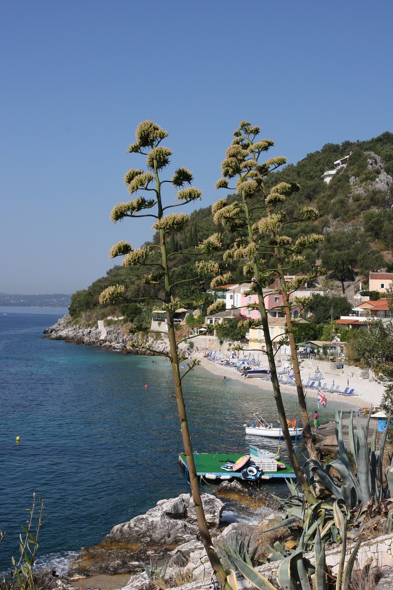 KERKYRA 2008
